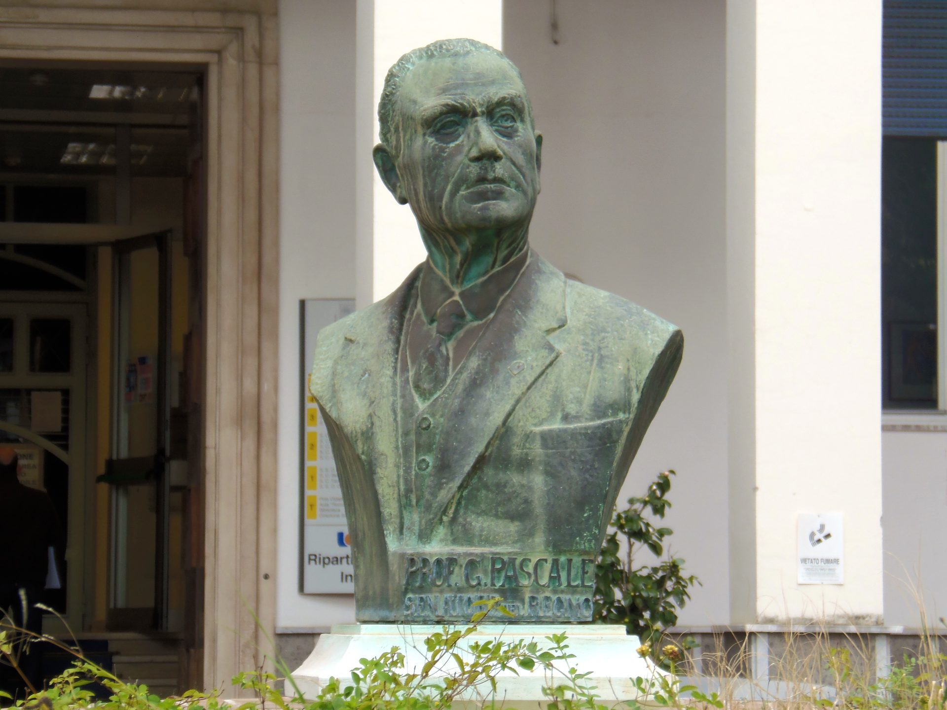 pscale foundation10.jpg